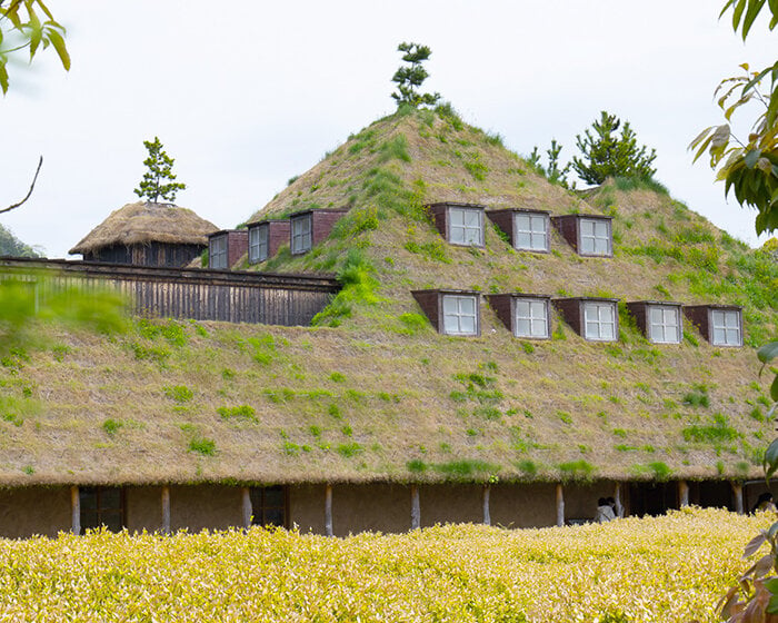 michele de lucchi & terunobu fujimori's grass-veiled la collina echoes its hilly surroundings