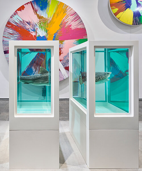 damien hirst's 'the weight of things' explores the interplay of science, life & death at MUCA